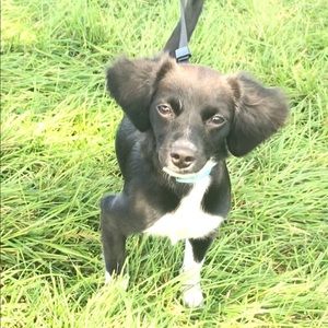 Meet your Posher, Patricia